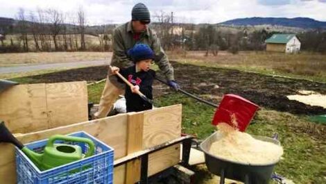 5 Tips for Homesteading with Kids Image